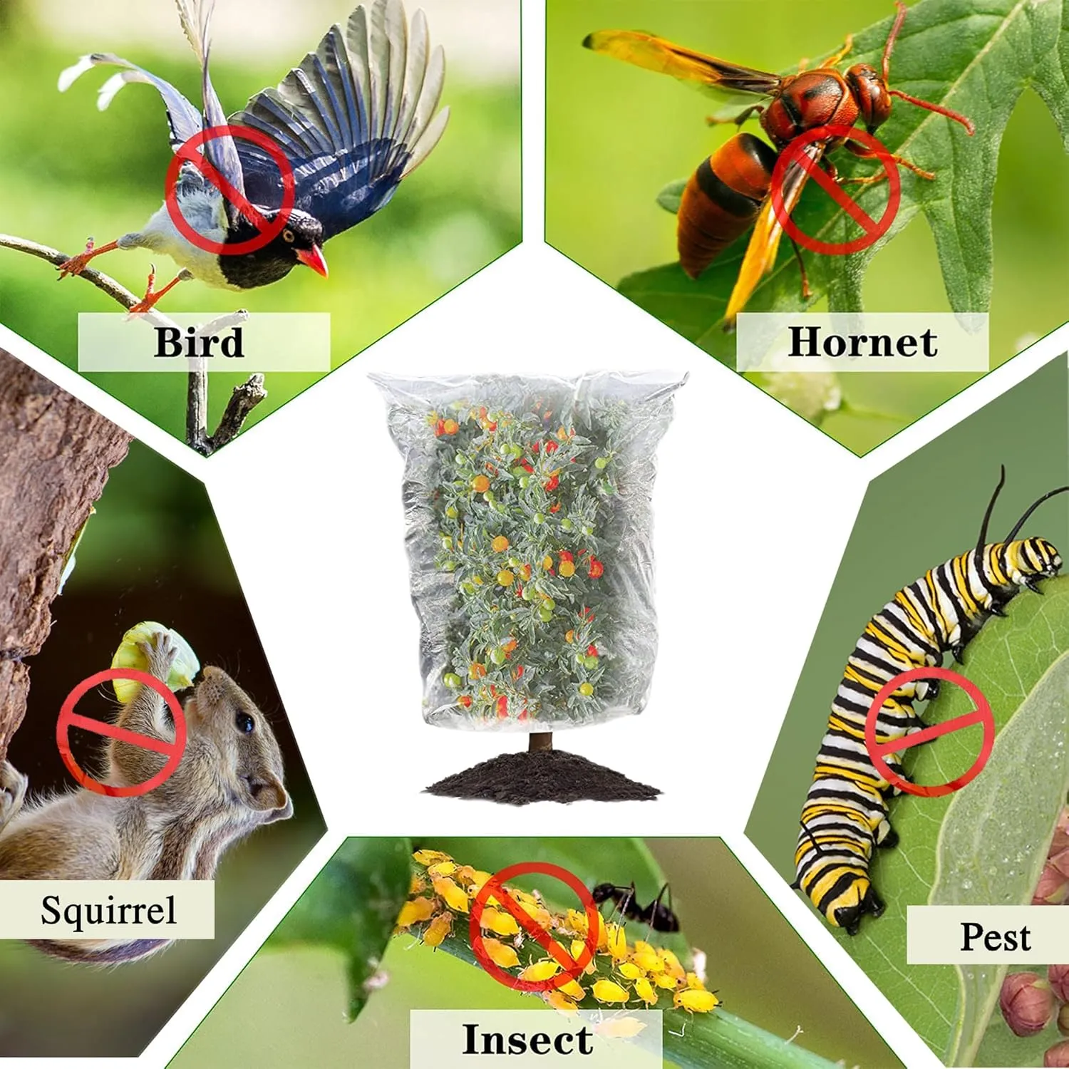 6 Pack Garden Netting Pest Barrier 5.25×4.92Ft - Ultra Fine Mesh Netting Protect Fruit Tree from Bird/Squirrel/Cicada/Insect/Bug, Plant Cover with Drawstring for Blueberry Bush, Tomato, Vegetables