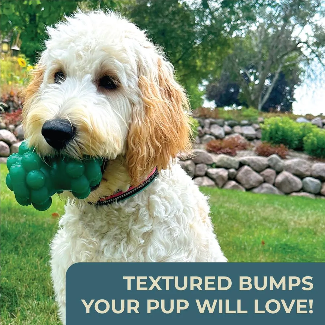 Alpha - Biter - Indestructible Bumpy Rubber Dog Enrichment Toy Made for Aggressive Chewers - Choose Your Color - 5" L × 3.5" W × 3" H (Red)