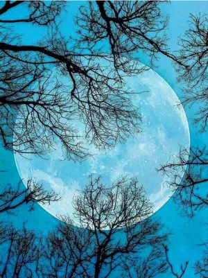 ARAZADR Stamped Kit for Adults Embroidery Beginner and Kids-Dusk and Moon,DIY Needlepoint Kits Cross Stitch Kits Stamped Full Range of Embroidery Starter Kits for Beginners DIY-Moon 11.81×15.75 Inch