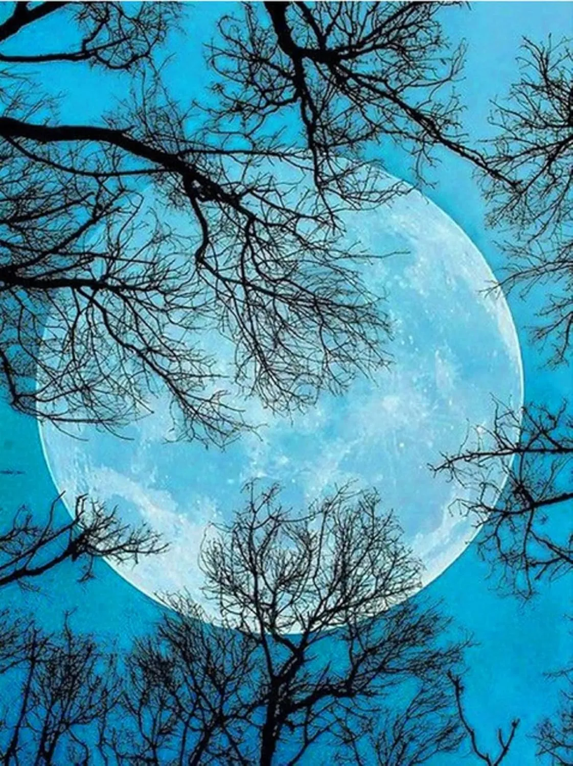 ARAZADR Stamped Kit for Adults Embroidery Beginner and Kids-Dusk and Moon,DIY Needlepoint Kits Cross Stitch Kits Stamped Full Range of Embroidery Starter Kits for Beginners DIY-Moon 11.81×15.75 Inch