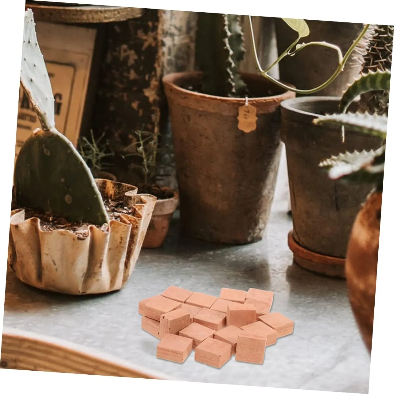BESPORTBLE 3sets 40pcs Miniature Brick Models DIY Simulation Bricks for Compact Landscaping Accessories for Creative Play for Miniature Building Projects and Table Scenes 40pcs*3