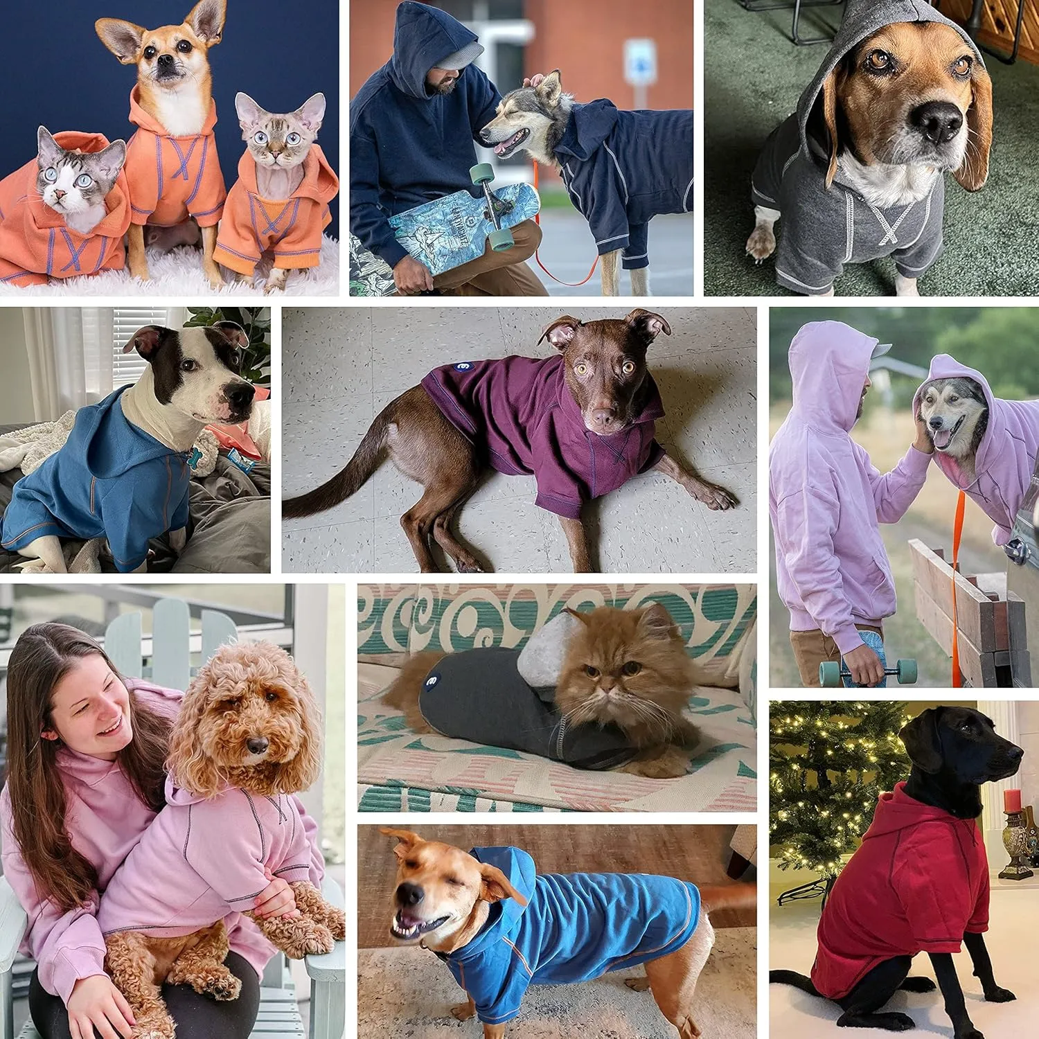 Blueberry Pet Hoodie 14", Sweatshirt With Cozy Soft French Terry, Midnight Blue, Award-Winning Clothes for Small Dogs, Jersey for Chilly Season