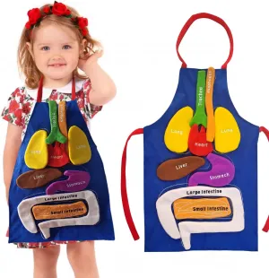 BOCZIF 3D Organ Apron, Human Body Organs Apron Awareness Educational Tool Toy for Kids, Anatomy Costume Apron Plush Stuffed Viscera Model Removable for Home Preschool Early Childhood Teaching Aid