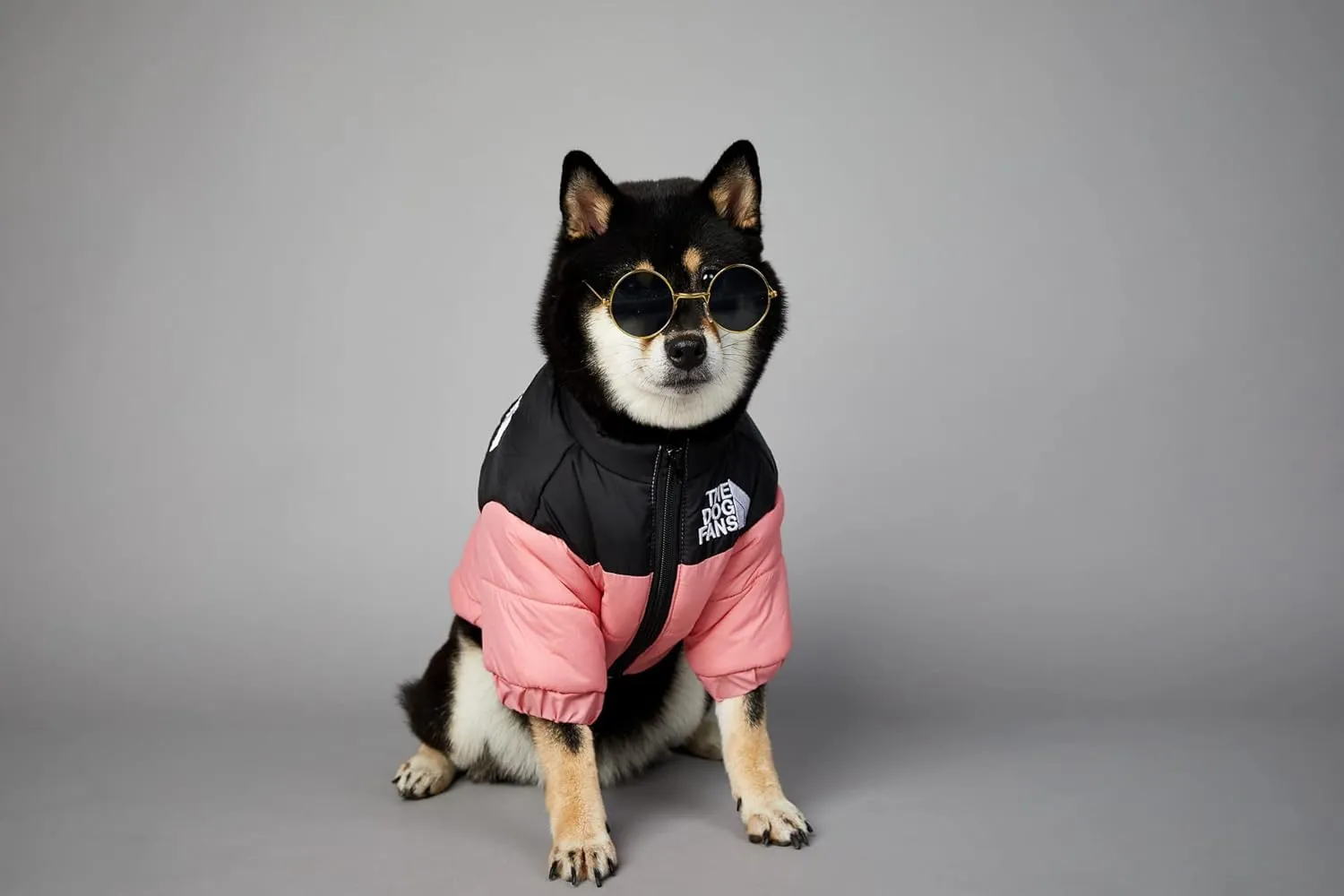ChoChoCho Cozy Dog Coat - Stylish Dog Jacket for Cold Weather, Snow & Winter - Cats, Puppies to Large (5XL, Pink)