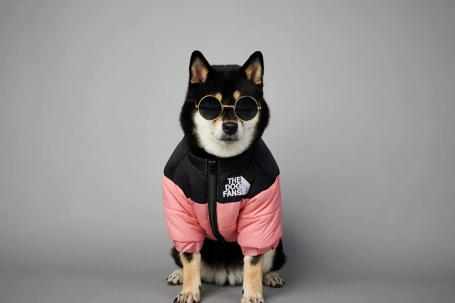 ChoChoCho Cozy Dog Coat - Stylish Dog Jacket for Cold Weather, Snow & Winter - Cats, Puppies to Large (5XL, Pink)