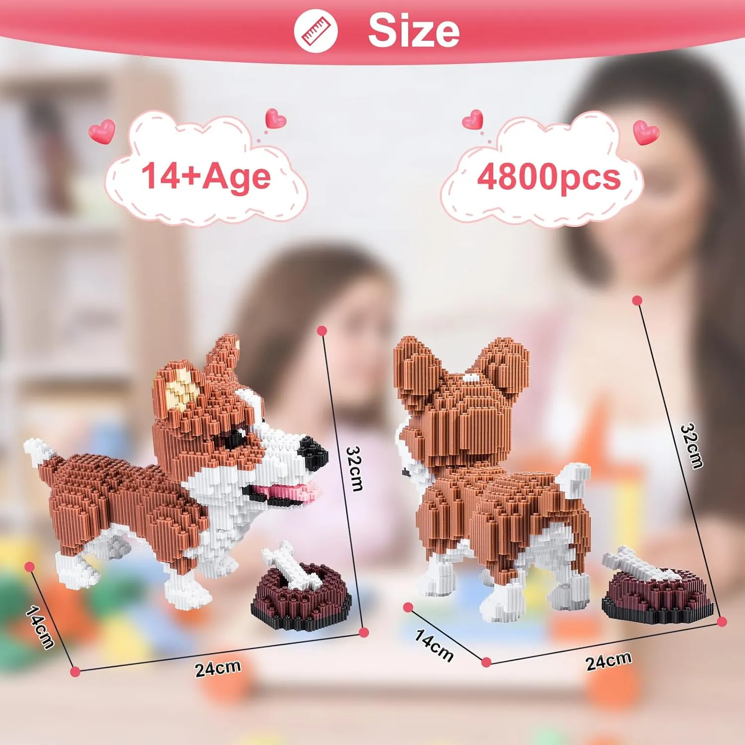 Corgi and Food Mini Bricks Building Kit - A Must-Have 3D Toy Model for Dog Lovers for Adult, Kid Educational Building Particle Building Blocks Toy Kit, Boys Girls Toys and Gifts(4800pcs)