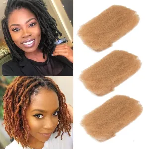DÉBUT Afro Kinky Bulk Human Hair 3 Packs for Dreadlocks, Twist Braiding, Repair Locs Full Head (150g, 10"10"10", Honey Blonde)