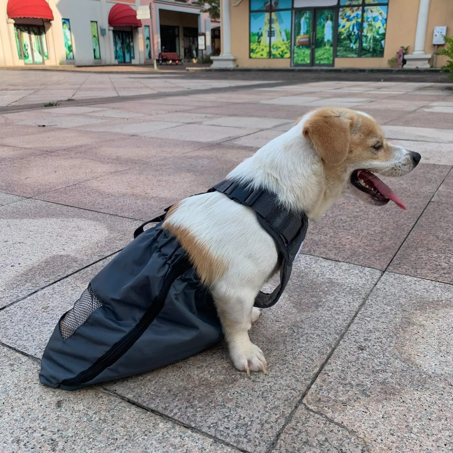 Dog Drag Bag Durable Indoor for paralyzed Disabled Back Rear Legs Dog Protects Chest and Limbs (M)…