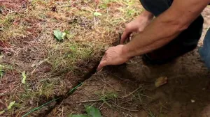 Dog Fence Wire - 5000 Feet of Professional Grade Electric Dog Fence Boundary Wire - Weatherproof Insulation and Compatible with All Underground Dog Fences
