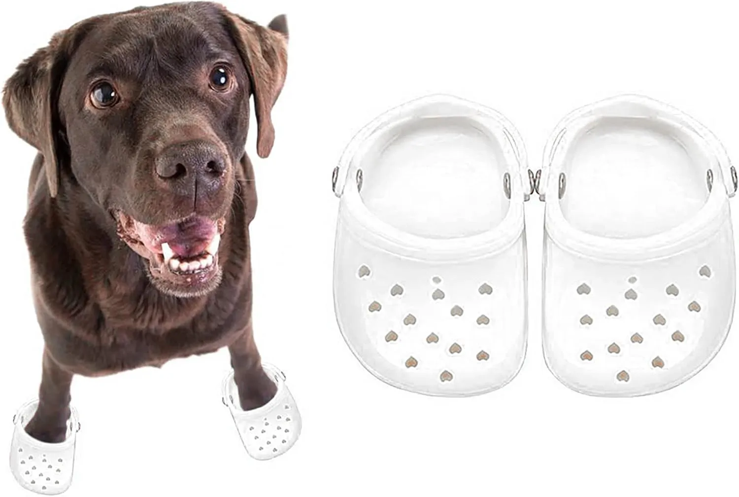 Dog Sandals, 8 Colors Optional, Puppy Shoes, Pet Sandals for Small Dogs, Pet Lovely Shoes for Taking Photos, Cat Shoes for Summer White