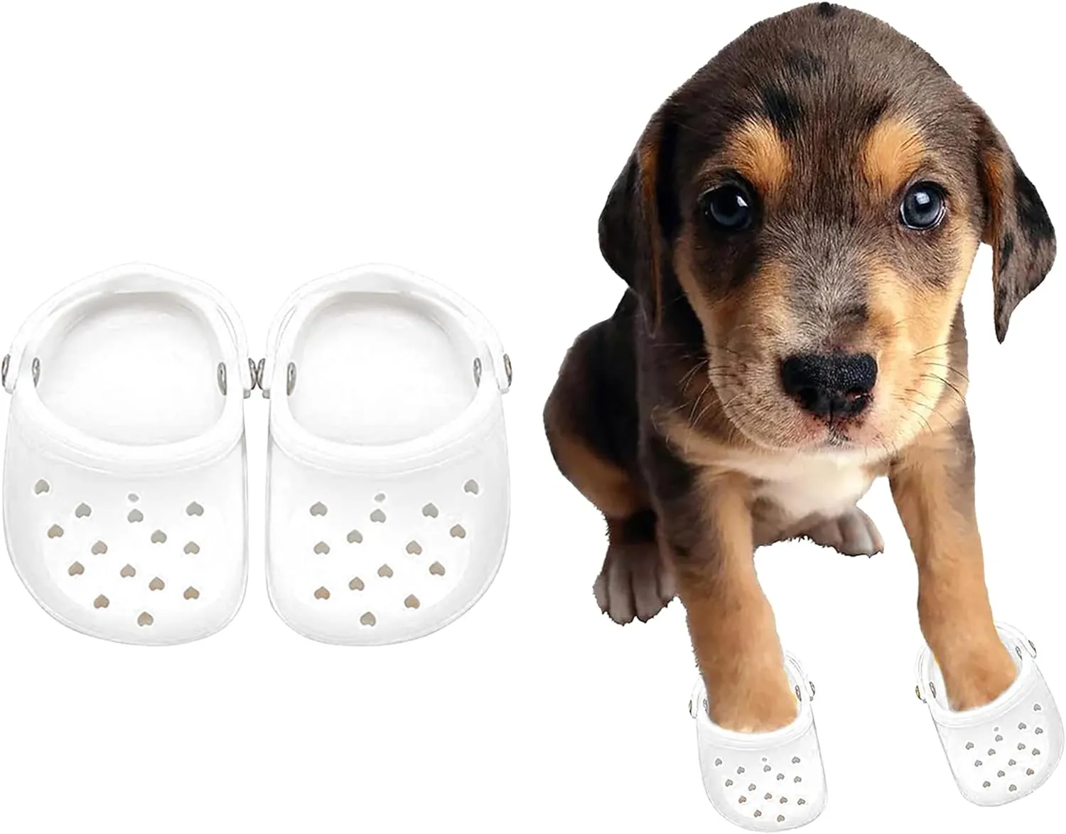 Dog Sandals, 8 Colors Optional, Puppy Shoes, Pet Sandals for Small Dogs, Pet Lovely Shoes for Taking Photos, Cat Shoes for Summer White