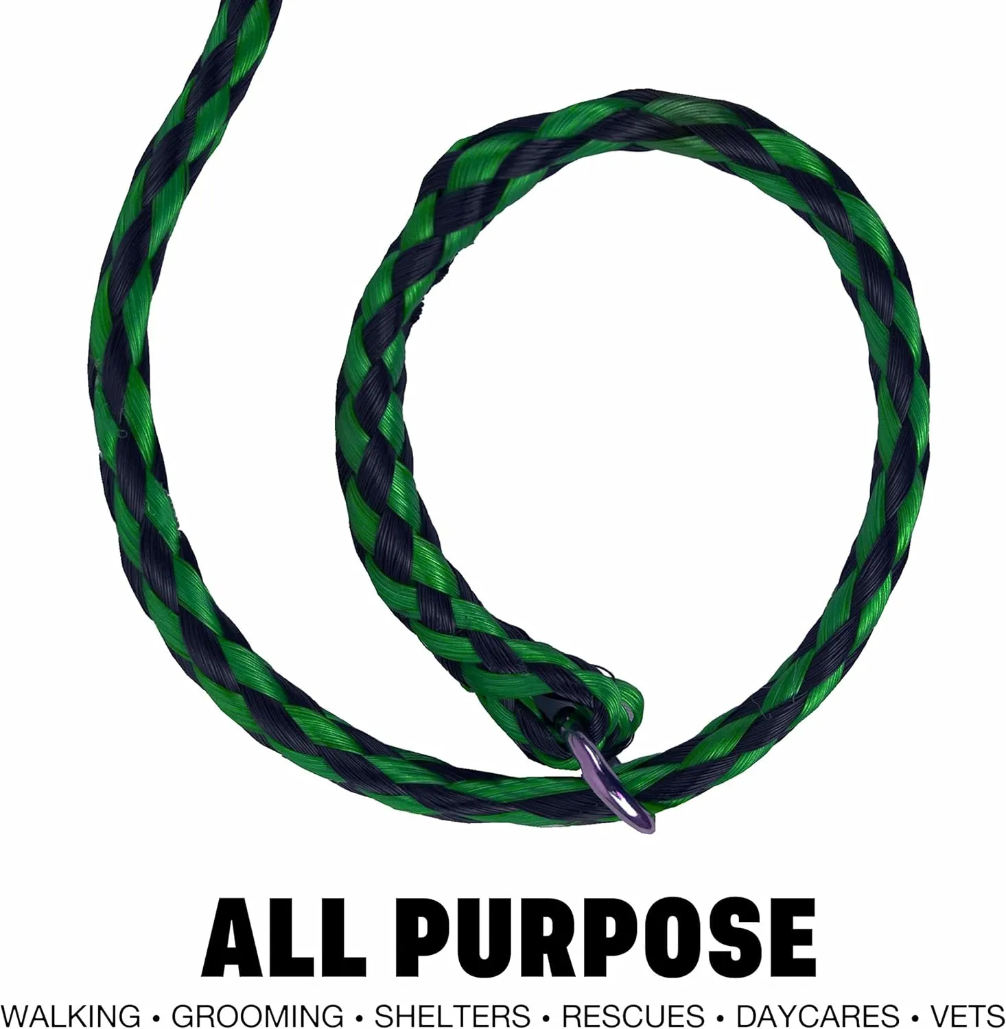Downtown Pet Supply BRD-SLP-LDS-48PK Durable Braided Poly Dog Slip Leads, 5 Feet