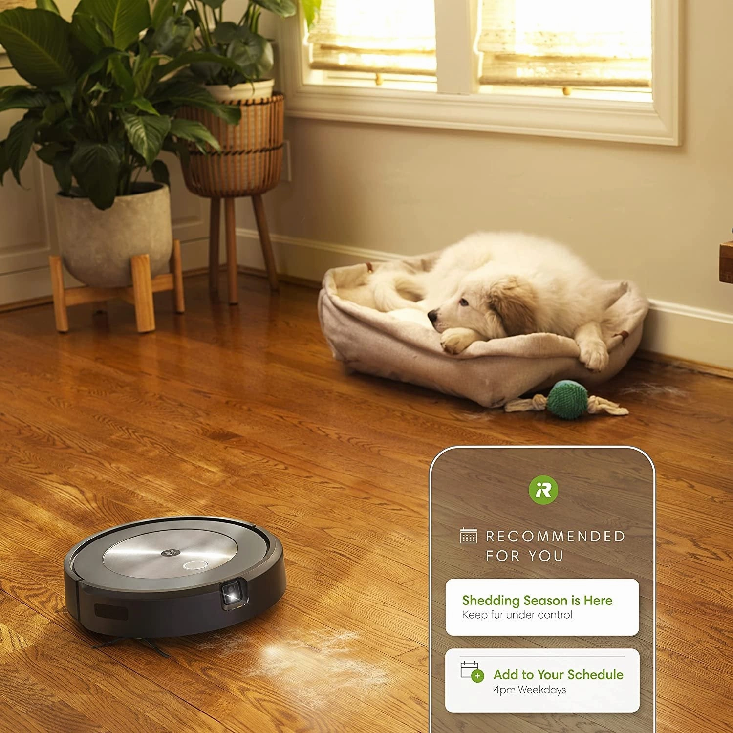 iRobot Roomba j7 7150 Wi-Fi Connected Robot Vacuum (J715020) Refurbished