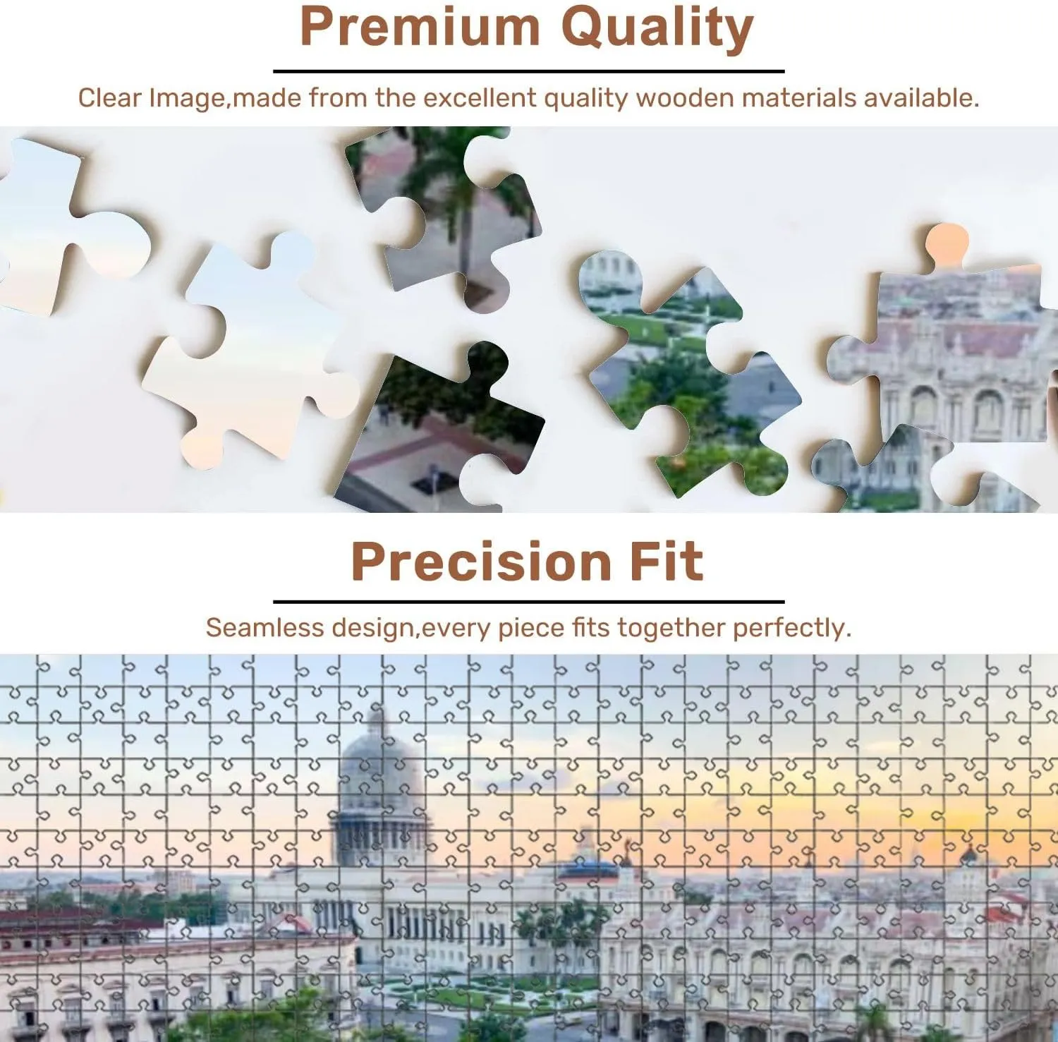 Jigsaw Puzzles 500 Pieces for Adult National Capitol Building el capitolio Central Park Havana Puzzle Game for Family Wooden Puzzle Toy Educational Games Puzzles for Home Decor