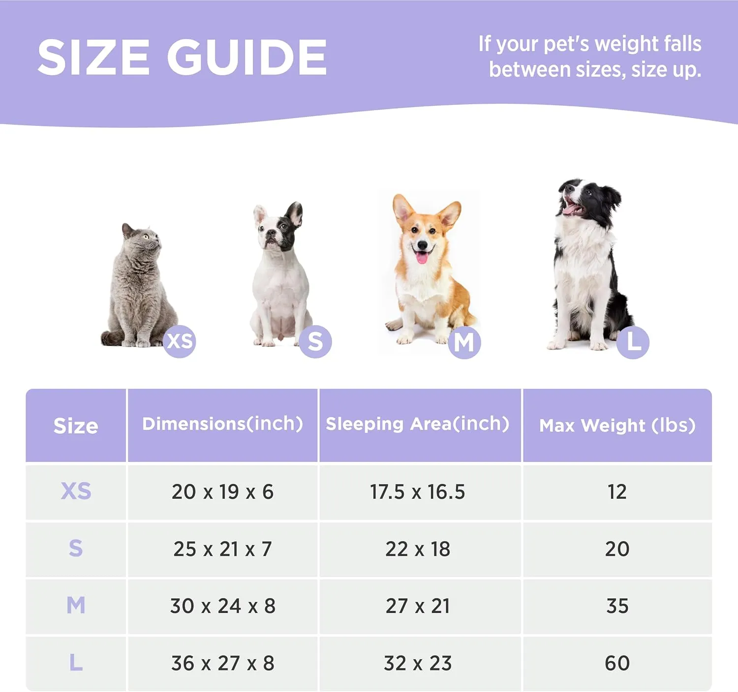 Lesure Cute Dog Bed for Small Dogs & Cats- Washable Puppy Beds,Cozy Rectangle Orthopedic Pet Sofa with Jacquard Shaggy Plush & Anti Slip Bottom,20x19x6inches