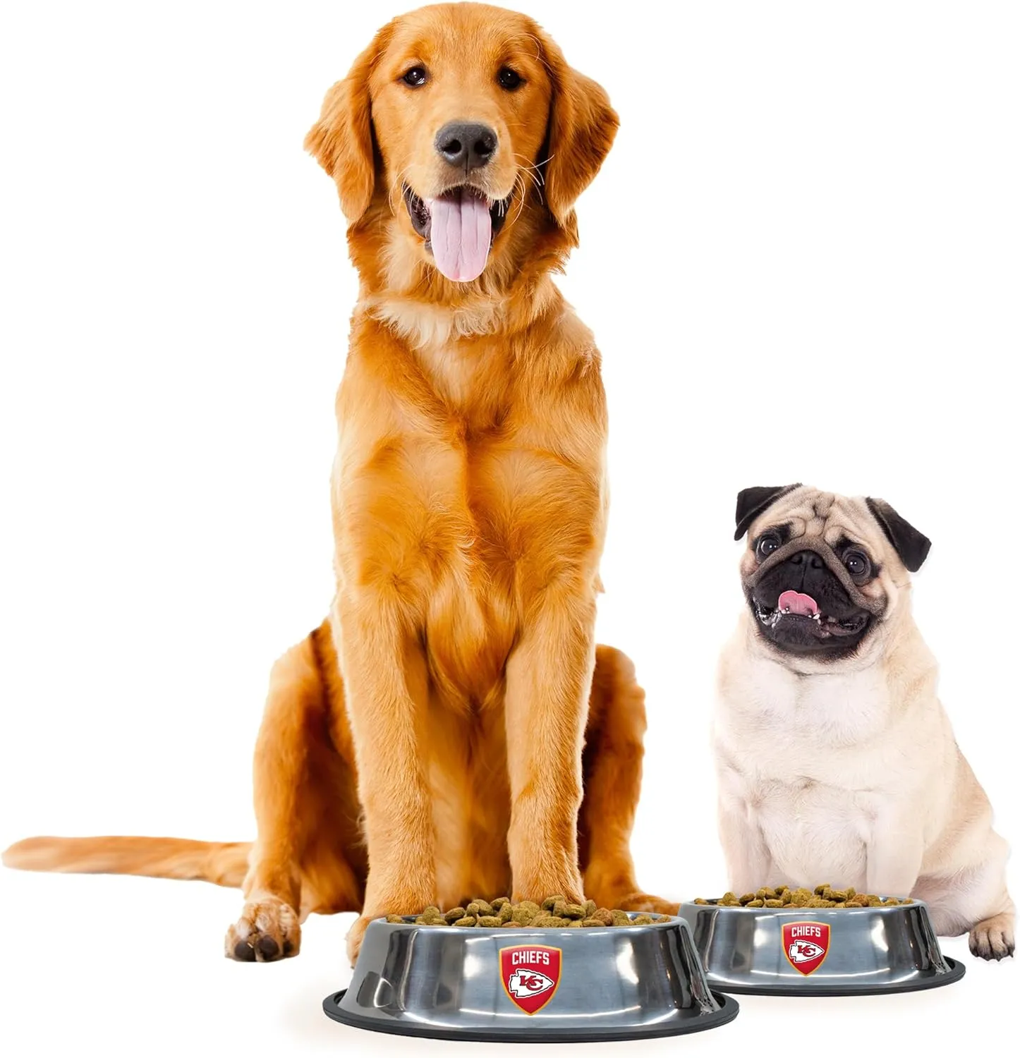 Littlearth NFL Everyday Pet Bowl