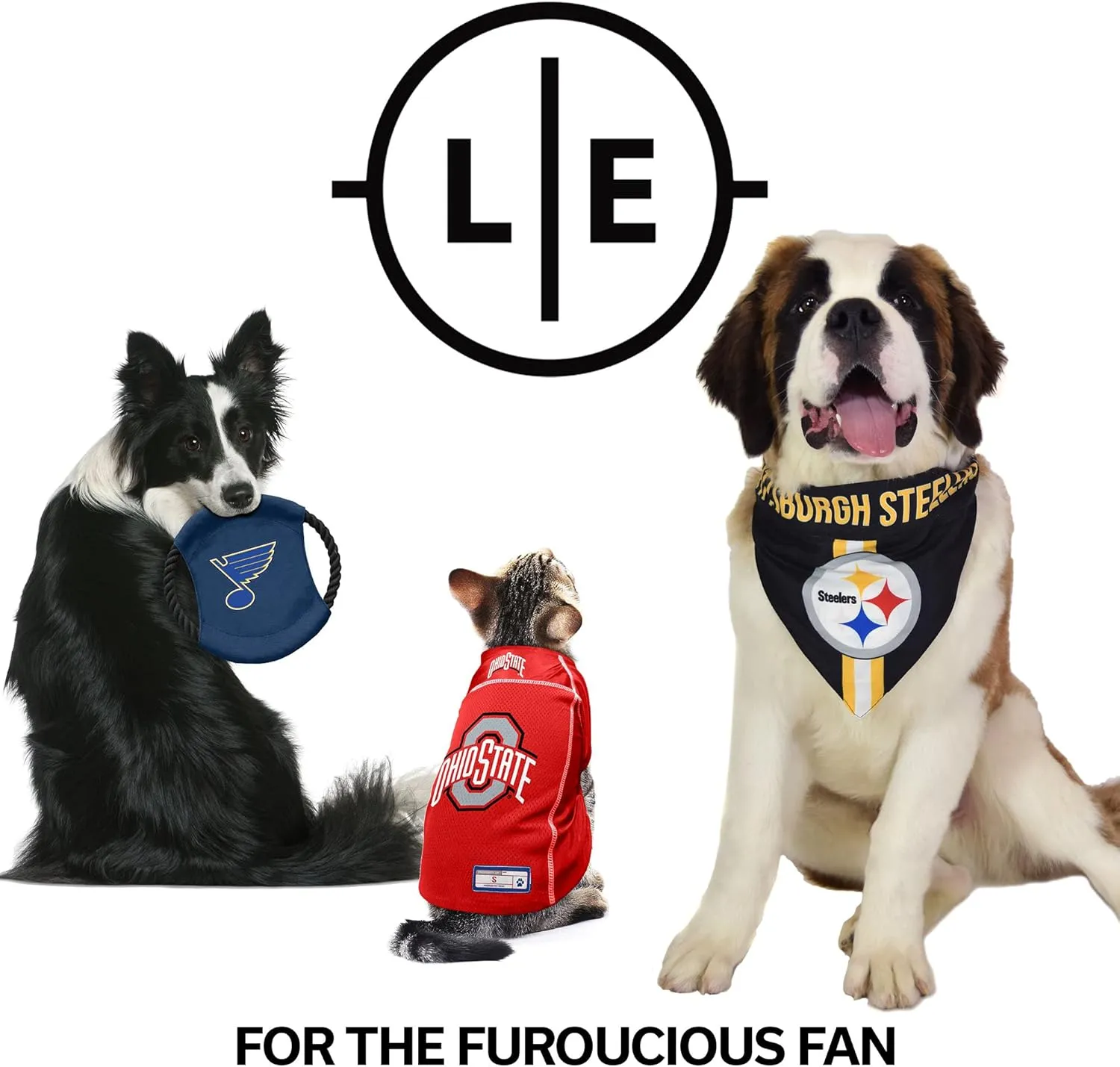 Littlearth NFL Unisex-Adult Premium Pet Collar | Durable All Metal Collar