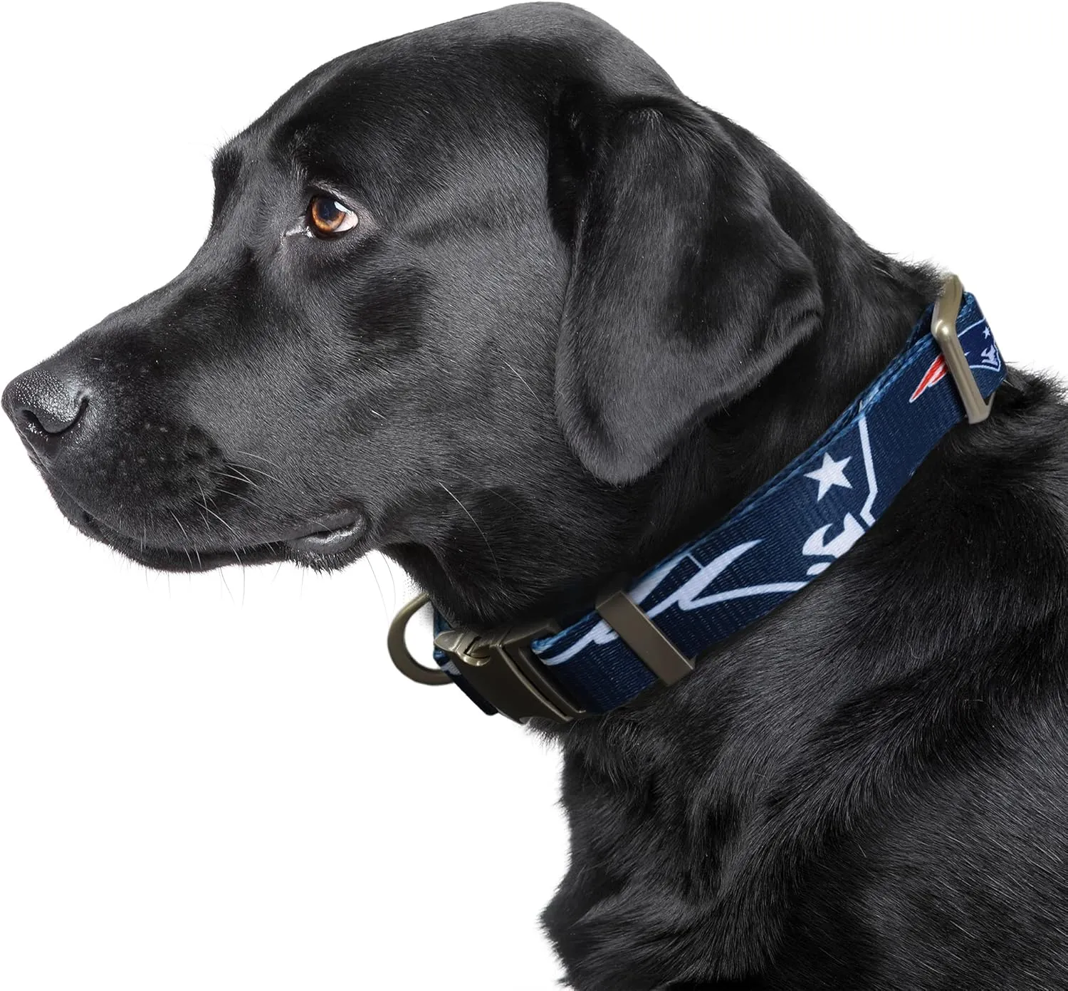 Littlearth NFL Unisex-Adult Premium Pet Collar | Durable All Metal Collar