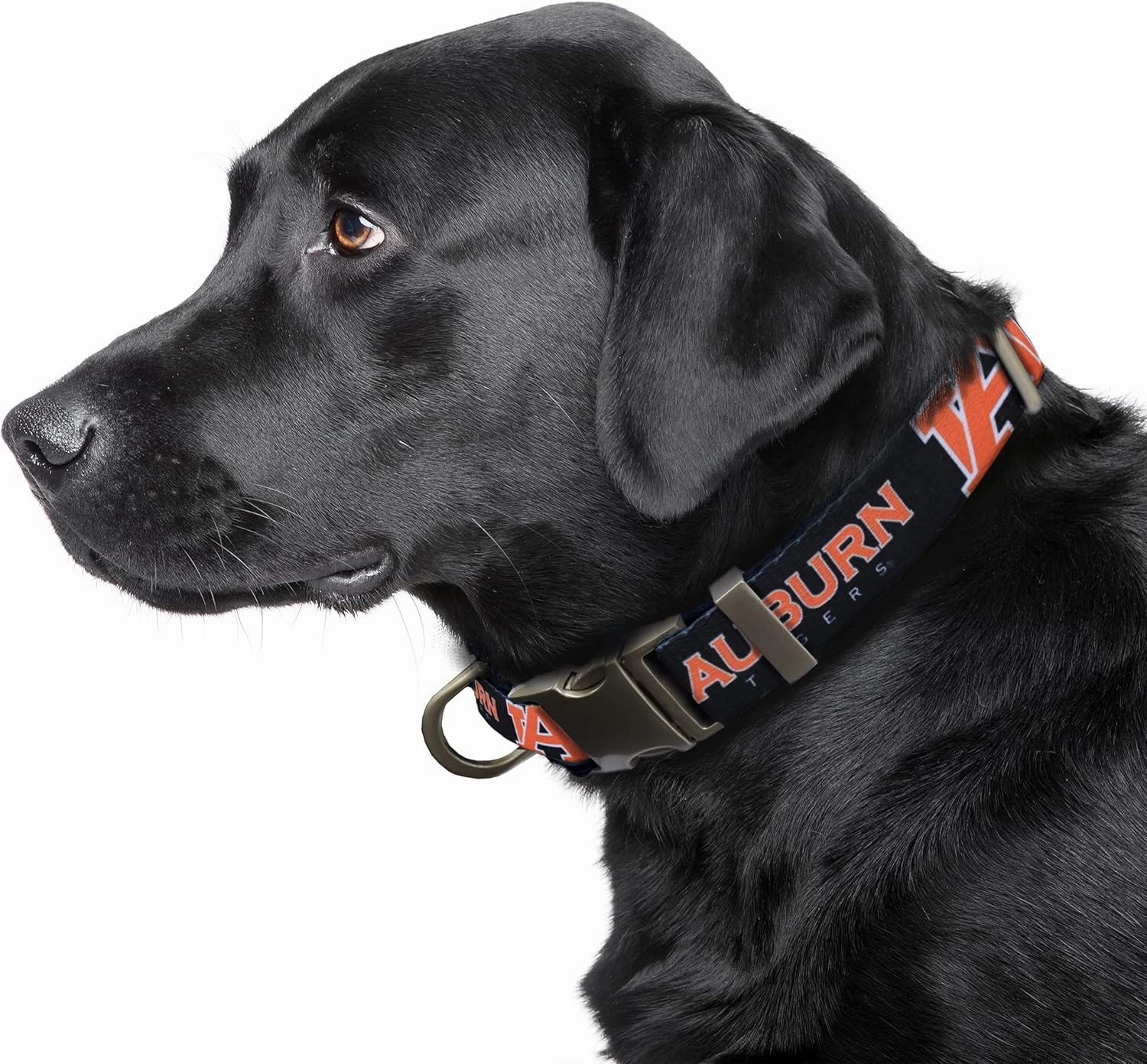 Littlearth NCAA Unisex NCAA Premium Pet Collar