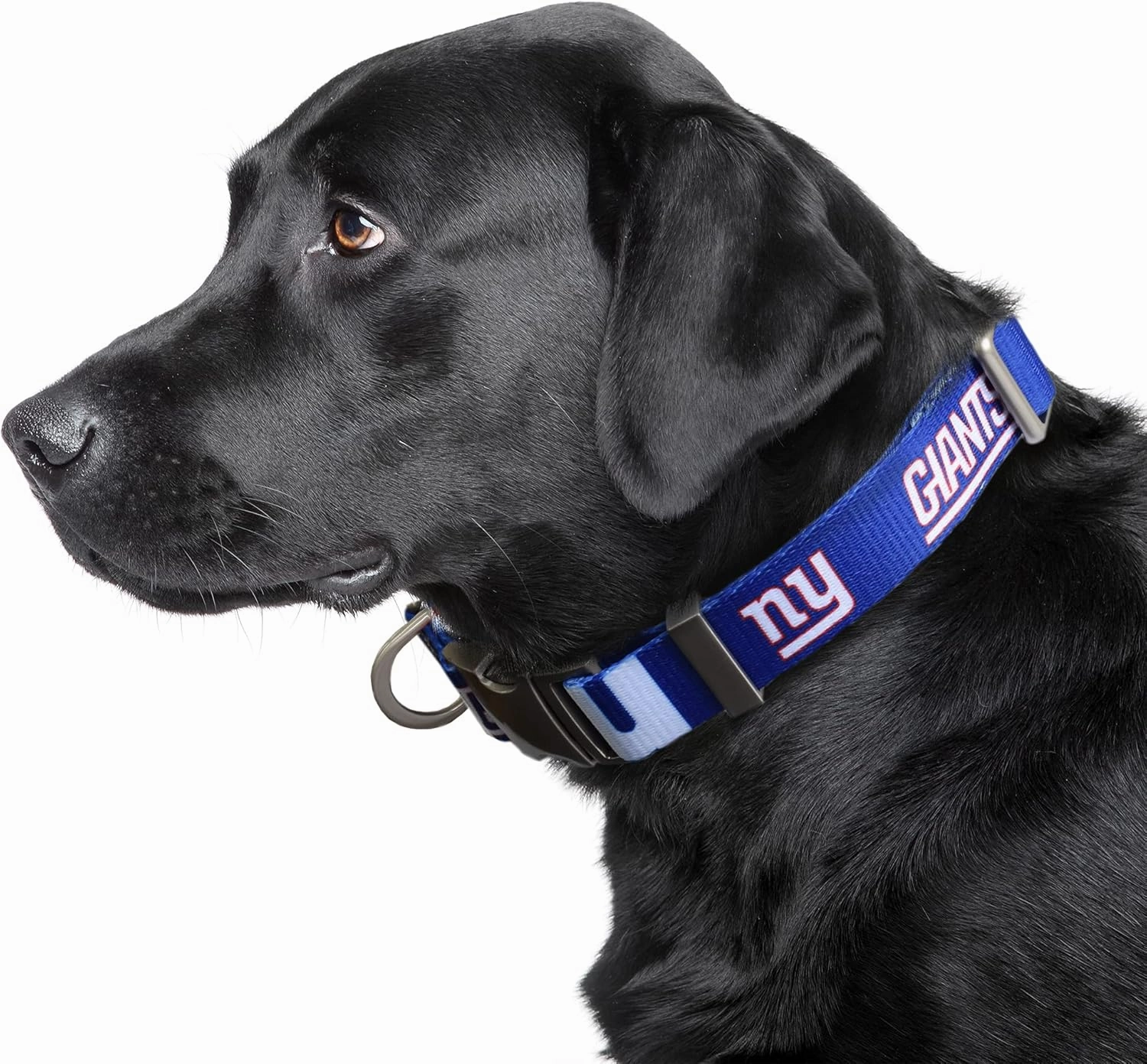 Littlearth NFL Unisex-Adult Premium Pet Collar | Durable All Metal Collar
