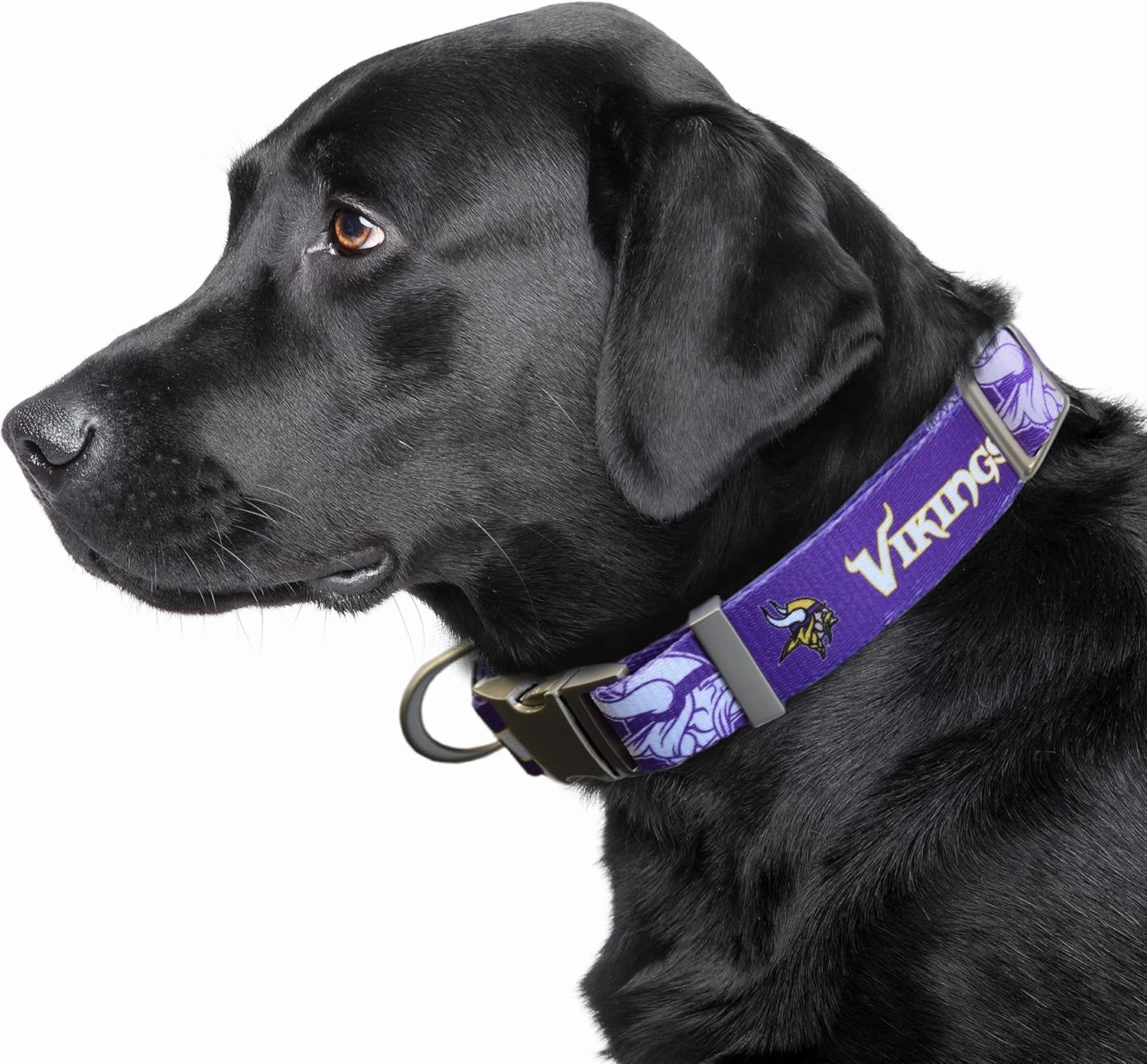 Littlearth NFL Unisex-Adult Premium Pet Collar | Durable All Metal Collar