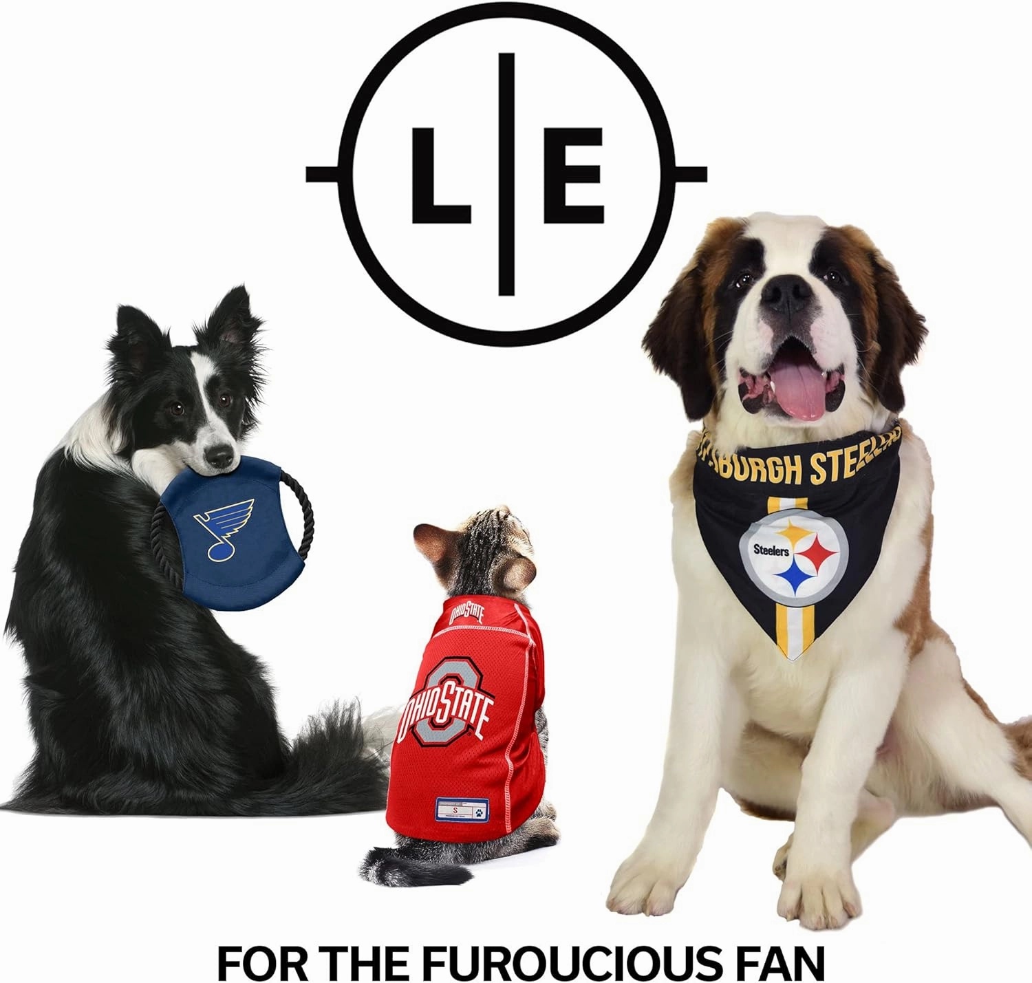 Littlearth NFL Unisex-Adult Premium Pet Collar | Durable All Metal Collar