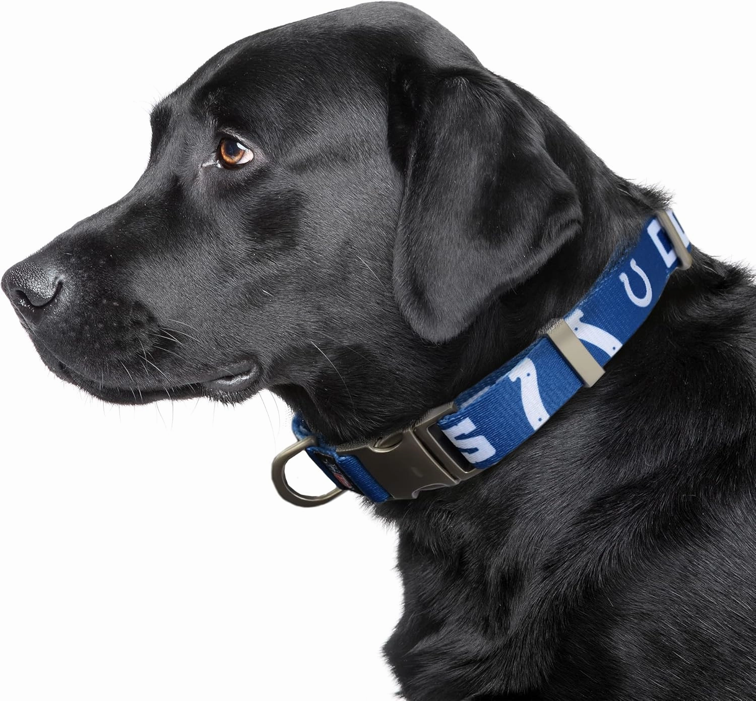 Littlearth NFL Unisex-Adult Premium Pet Collar | Durable All Metal Collar