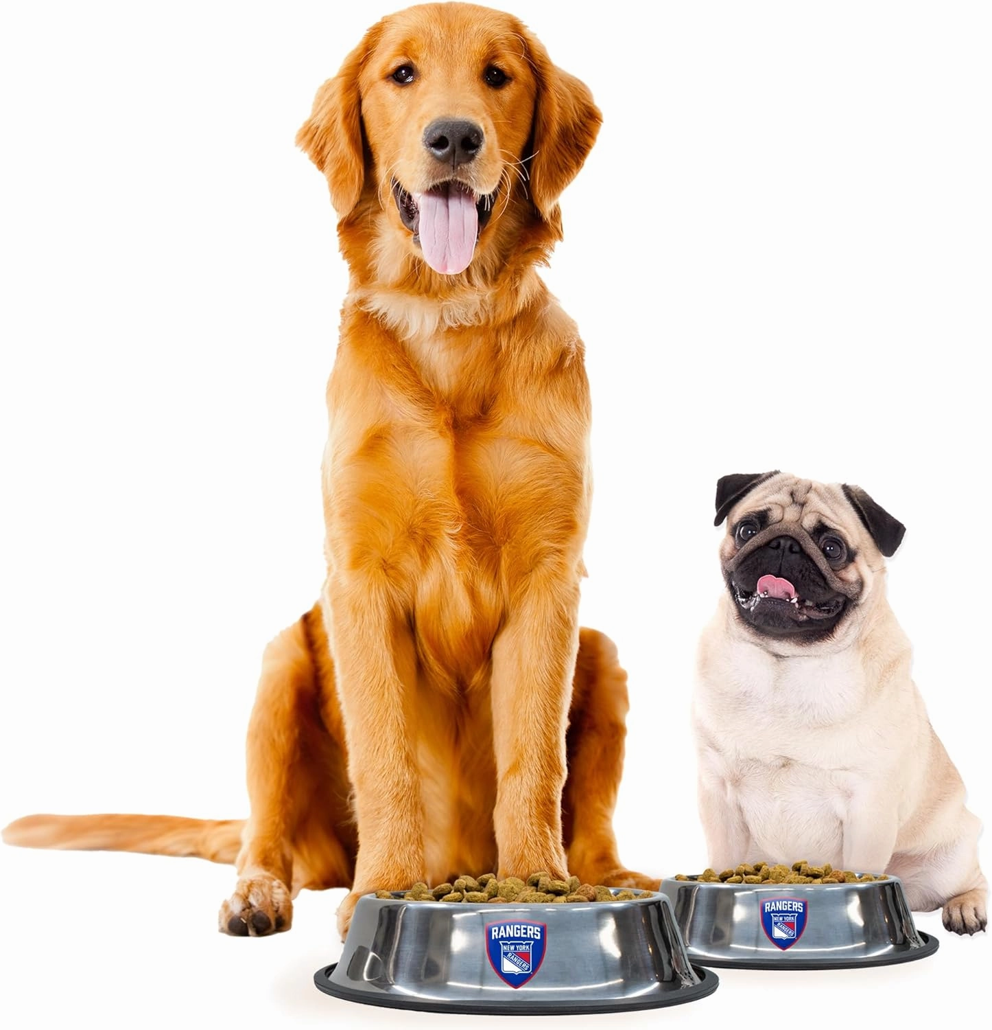 Littlearth NHL Everyday Pet Bowls