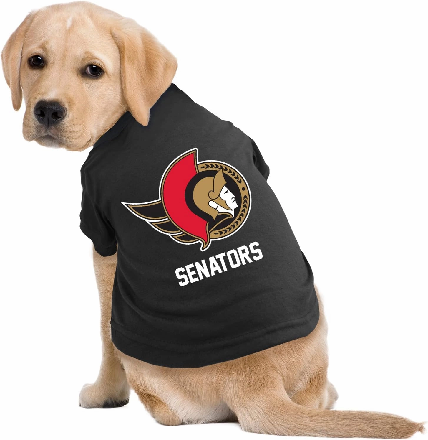Littlearth NHL Pet T-Shirt