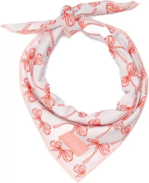 Lucy & Co. Ballet Bows Bandana - Durable Comfortable Dog Bandana - Machine Washable - Designer Puppy Accessory - Small White & Pink Bows
