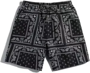 Men's Paisley Shorts Mesh Graphic Print Casual Beach Shorts Athletic Gym Workout Running Short Retro Pants