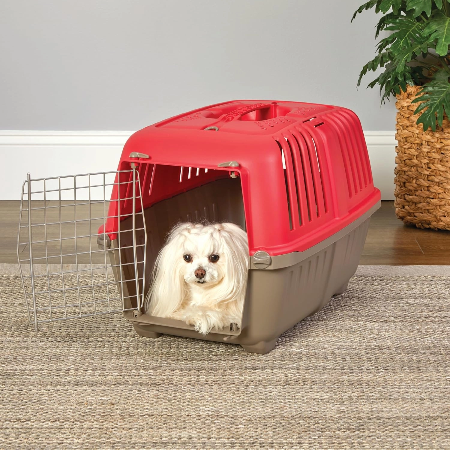MidWest Homes for Pets Spree Travel Pet Carrier, Dog Carrier Features Easy Assembly and Not The Tedious Nut & Bolt Assembly of Competitors, Red, 24-Inch Small Dog Breeds (1424SPR)