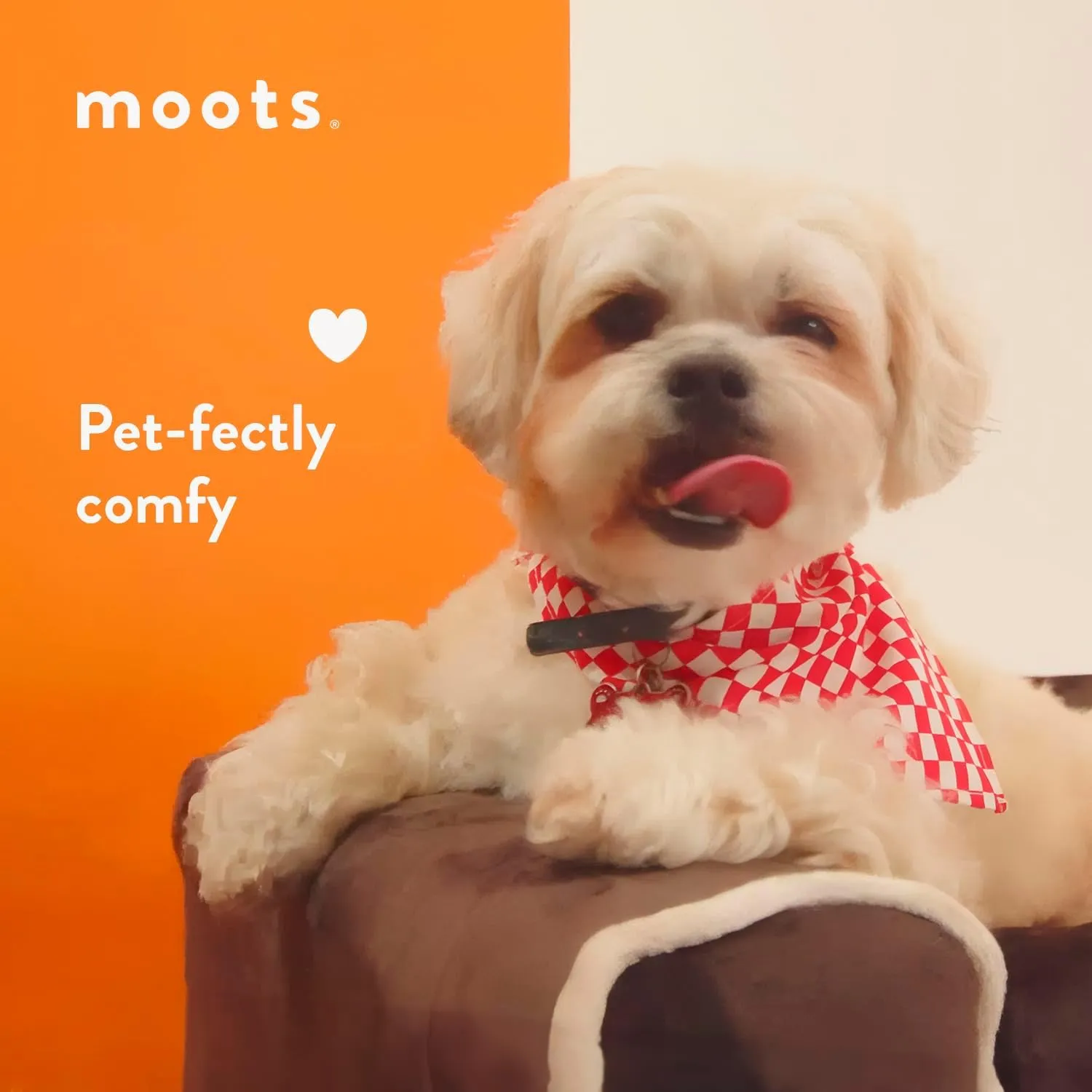 Moots Furry Pet Lounge, Deluxe Pet Bed for Dogs with 2 Pillows, Easy to Clean Chocolate Dog Sofa, Large