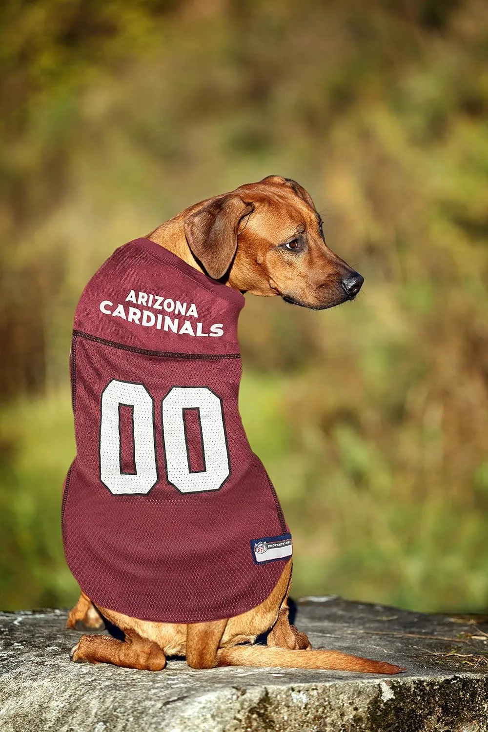 NFL Arizona Cardinals Dog Jersey - Medium, Football Jersey Costume for Dogs & Cats