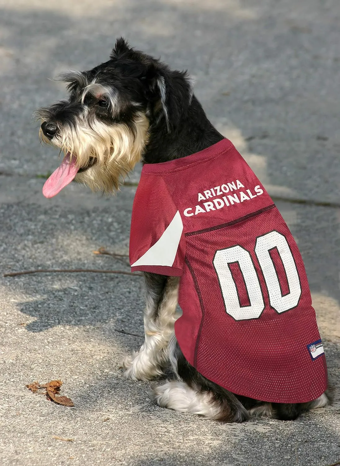 NFL Arizona Cardinals Dog Jersey - Medium, Football Jersey Costume for Dogs & Cats