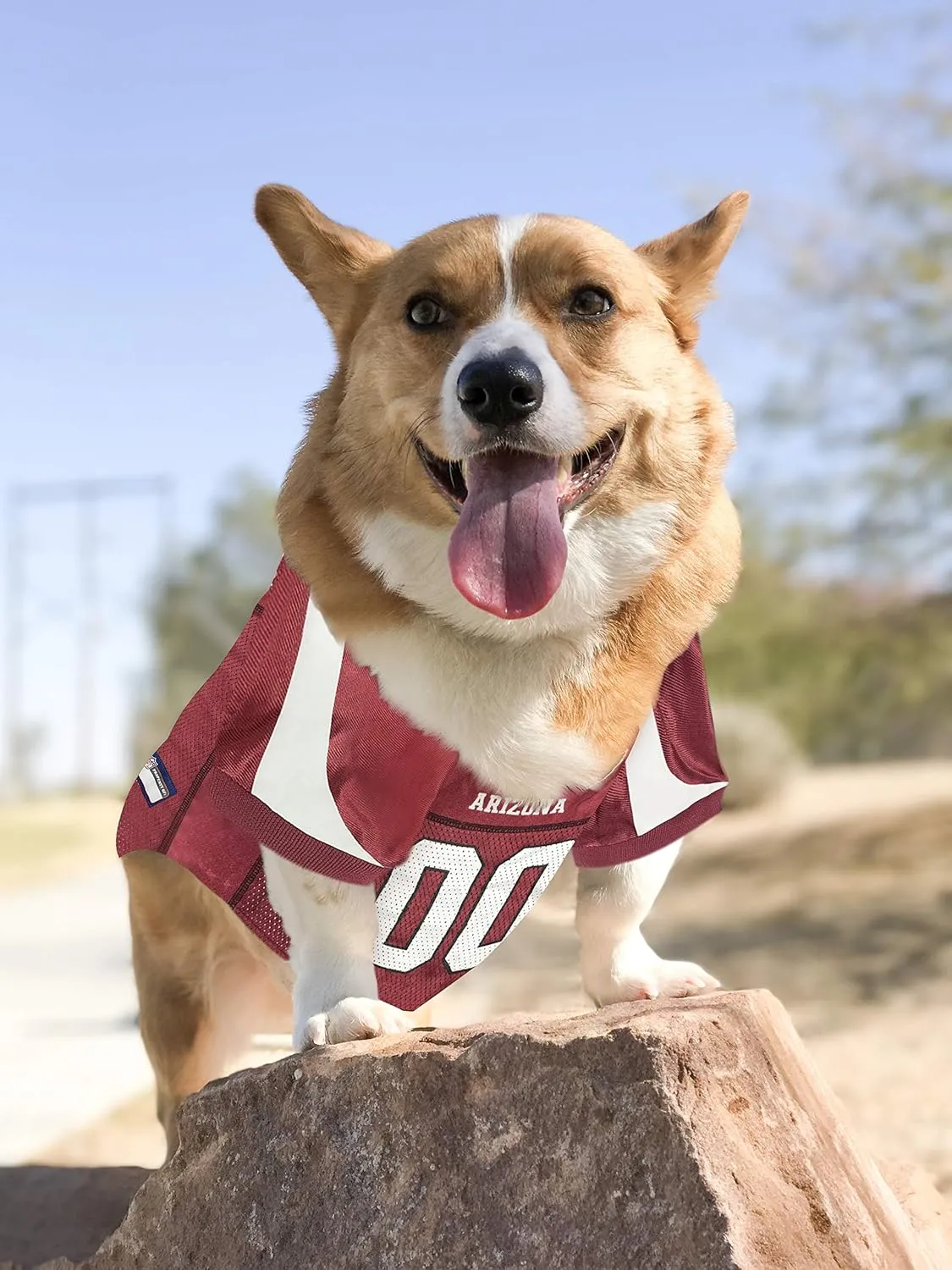 NFL Arizona Cardinals Dog Jersey - Medium, Football Jersey Costume for Dogs & Cats