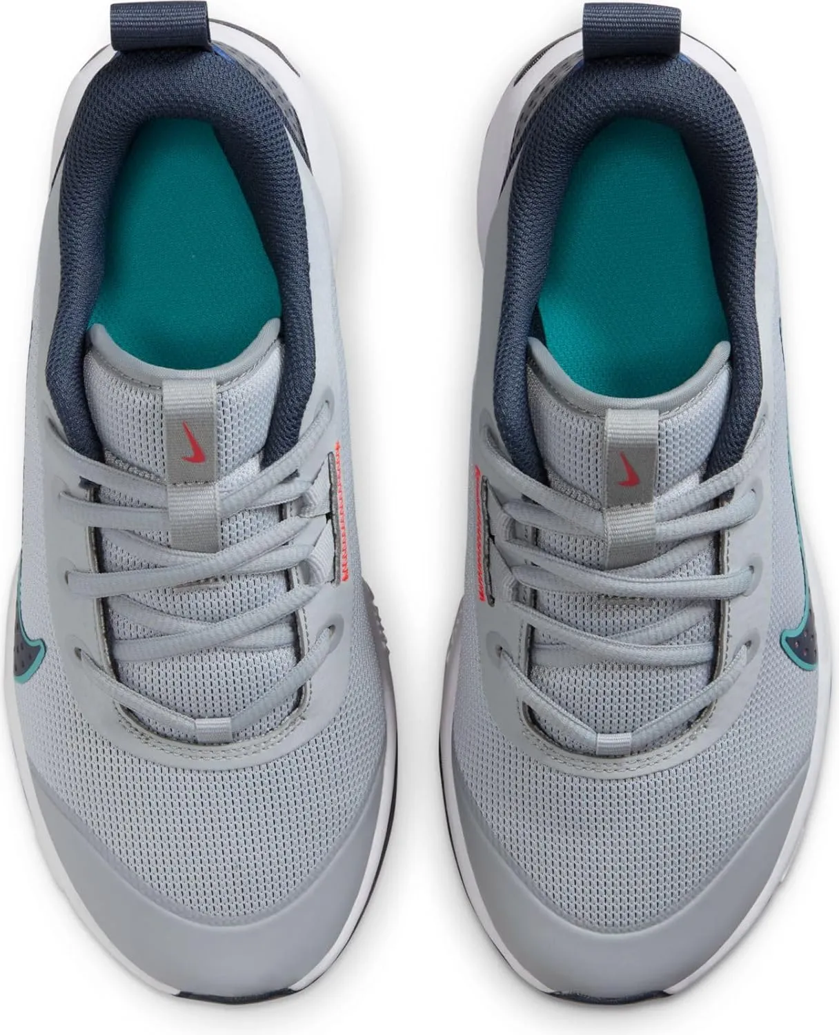 Nike Omni Multi-Court Big Kids' Indoor Court Shoes (DM9027-010, Wolf Grey/Bright Crimson/Dusty Cactus/Thunder Blue)