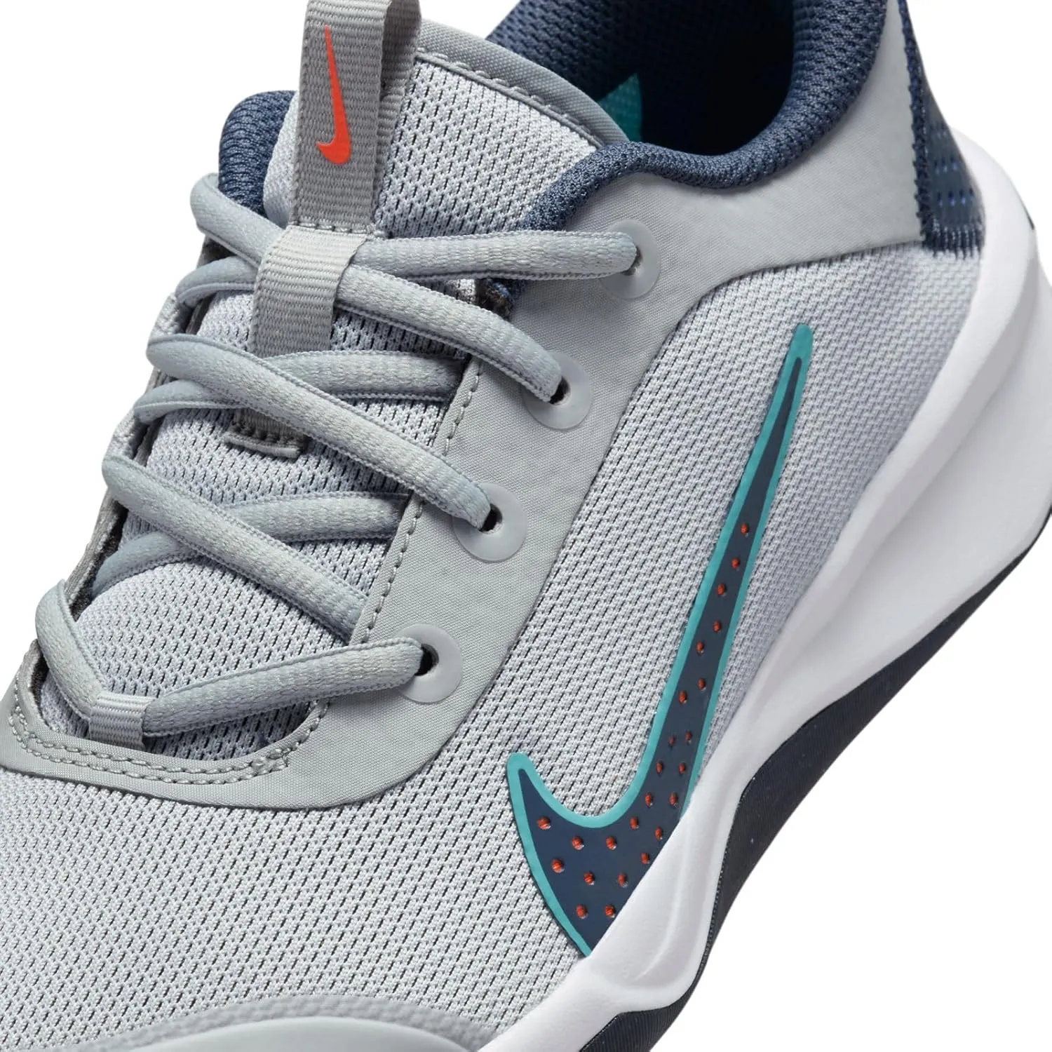 Nike Omni Multi-Court Big Kids' Indoor Court Shoes (DM9027-010, Wolf Grey/Bright Crimson/Dusty Cactus/Thunder Blue)