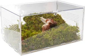 Pet Snail Terrarium Kit with 11.22-inch x 7.87-inch x 6-inch Snail Terrarium and a 7-inch Pet Snail Climbing Wall