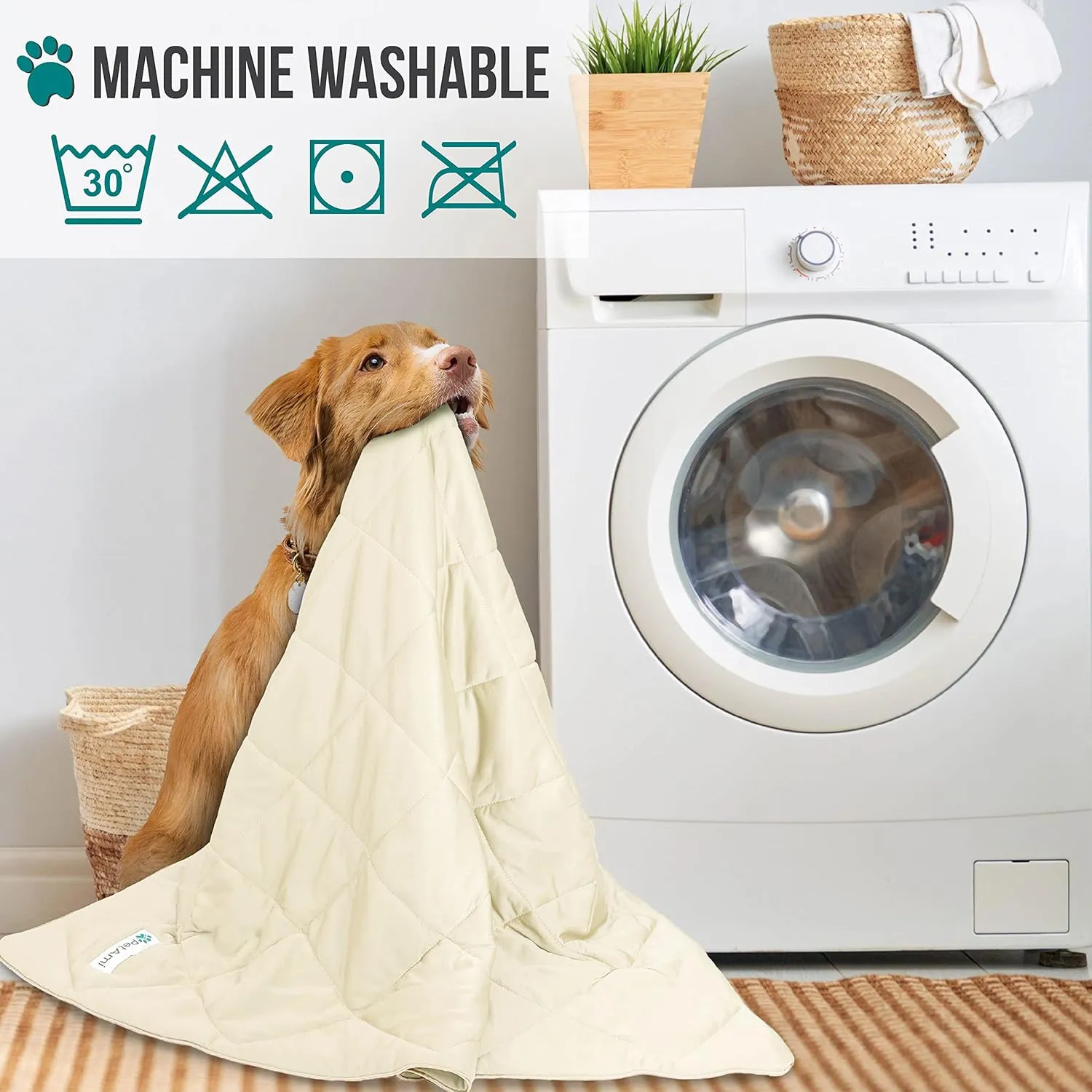 PetAmi Premium Cooling Dog Blanket | Lightweight Fluffy Pet Throw Blanket Bed Cover for Dogs, Cat, Puppies | Pet Blanket Furniture Protector Couch Sofa | Reversible Fuzzy Cozy | 29x40, Beige Latte
