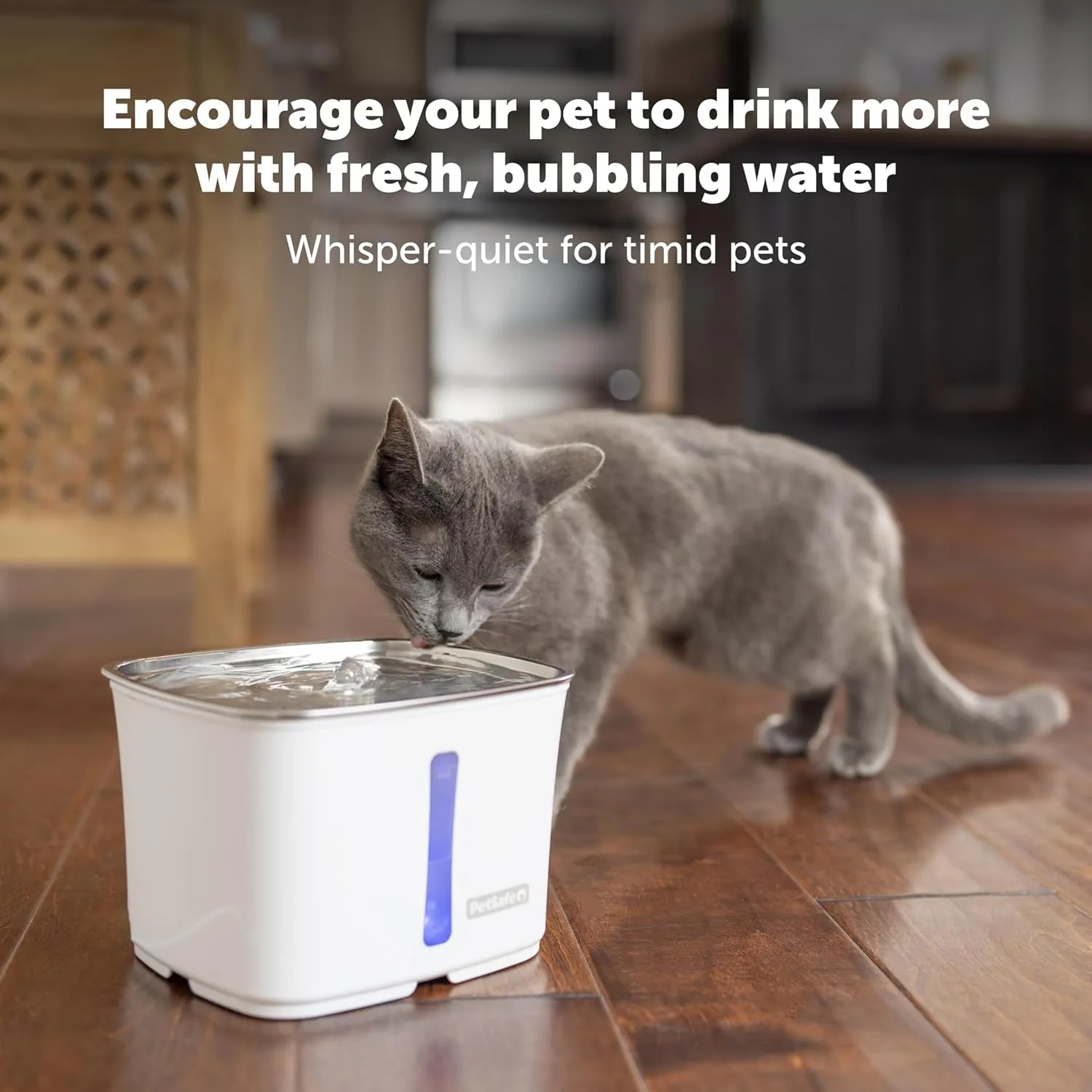 PetSafe Viva Cat Water Fountain (64oz/1.8L) – Indoor Water Dispenser for Cats and Small Dogs, Stainless-Steel Bowl with Whisper Quiet Pump, Dishwasher Safe, Easy to Clean, Water Filters Included