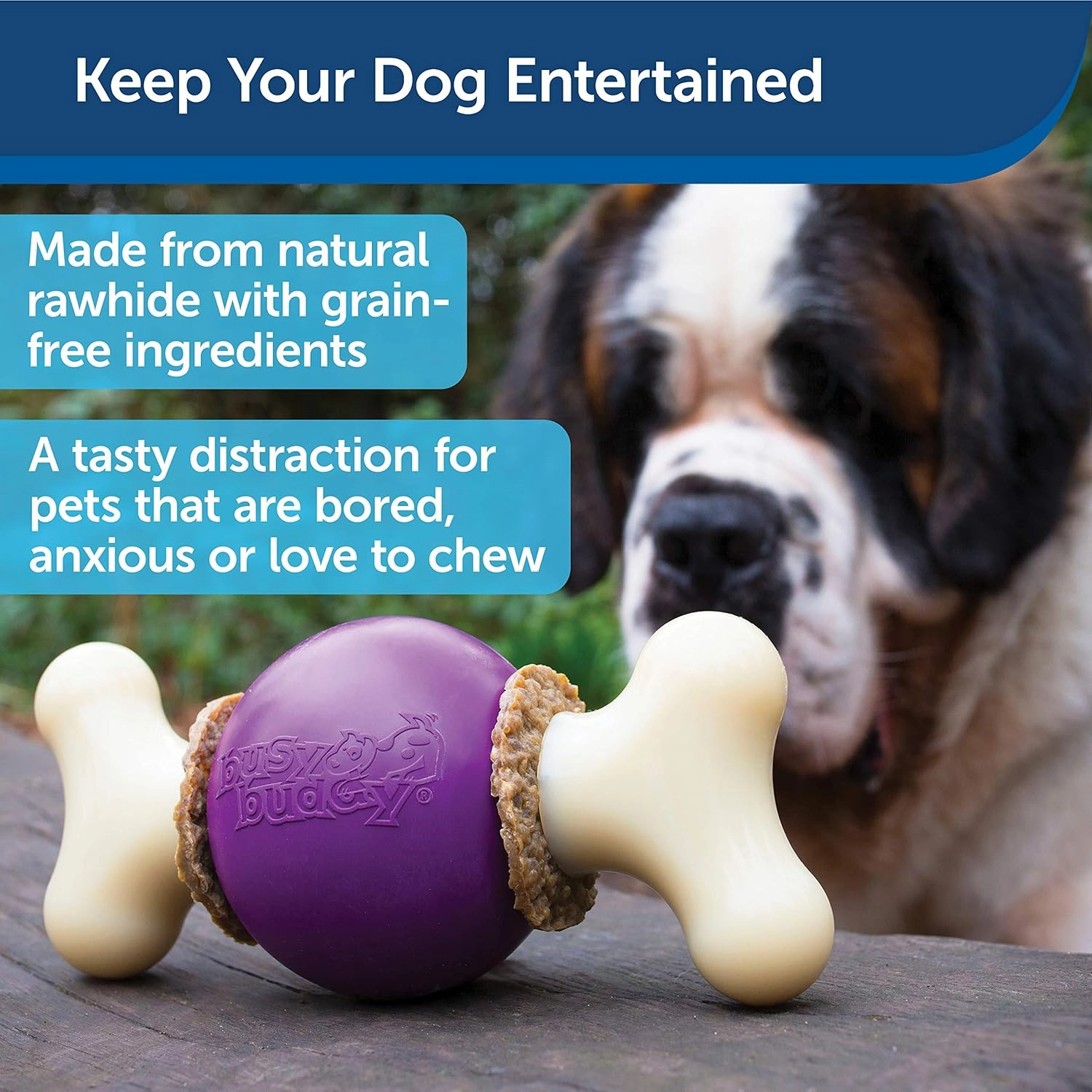 PetSafe® Busy Buddy® Bouncy Bone™, Treat Holding Dog Toy, Large, Best for Dogs Over 75 Lb.