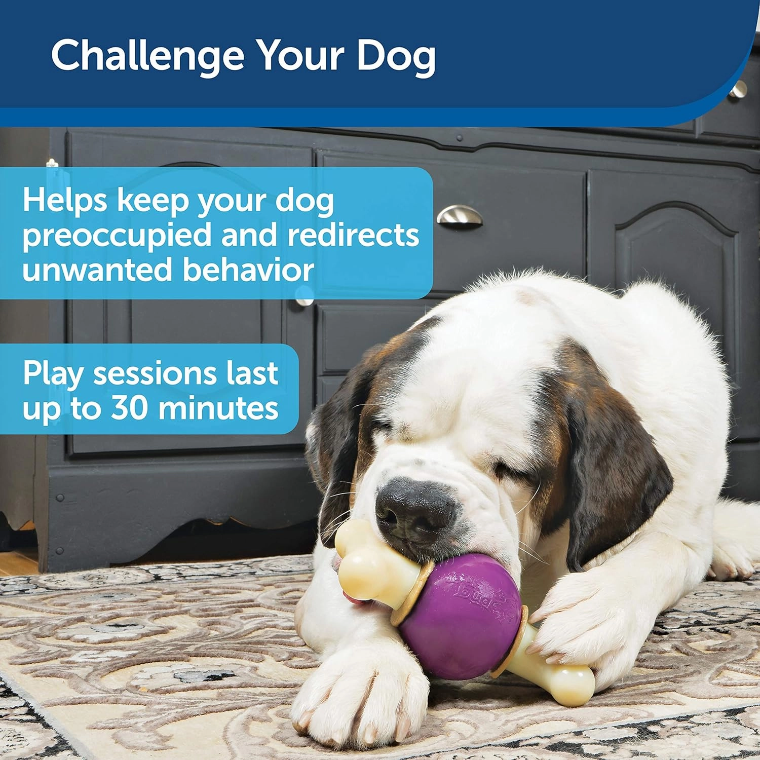 PetSafe® Busy Buddy® Bouncy Bone™, Treat Holding Dog Toy, Large, Best for Dogs Over 75 Lb.