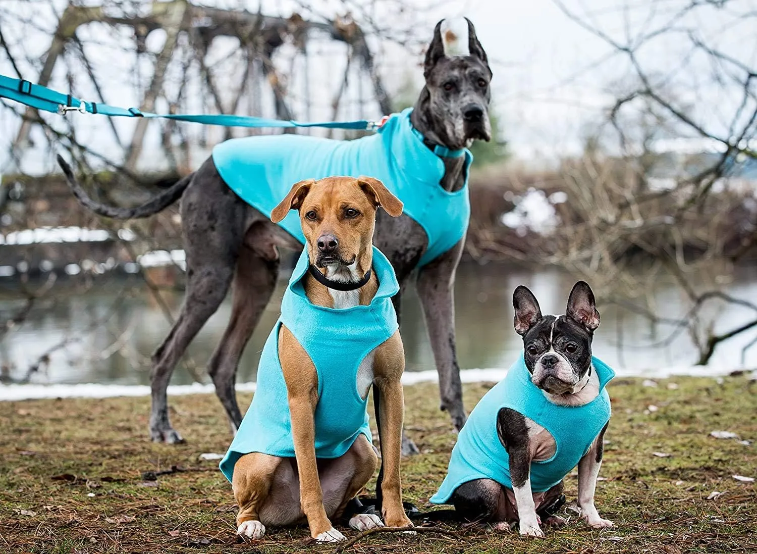 RC Pet Products Baseline Fleece Dog Coat, Everyday Base Layer, Size 18, Black/Goji Berry