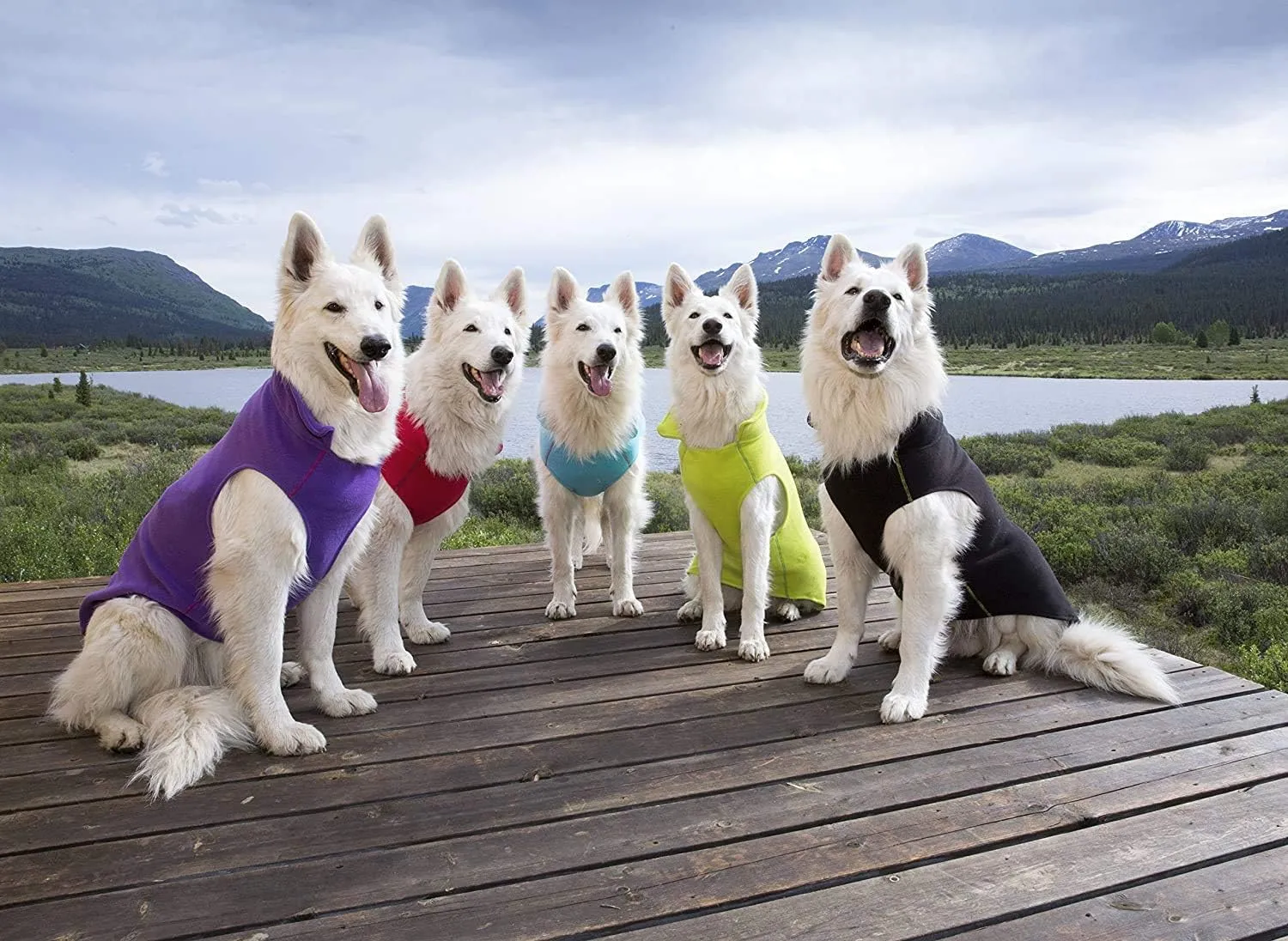 RC Pet Products Baseline Fleece Dog Coat, Everyday Base Layer, Size 18, Black/Goji Berry