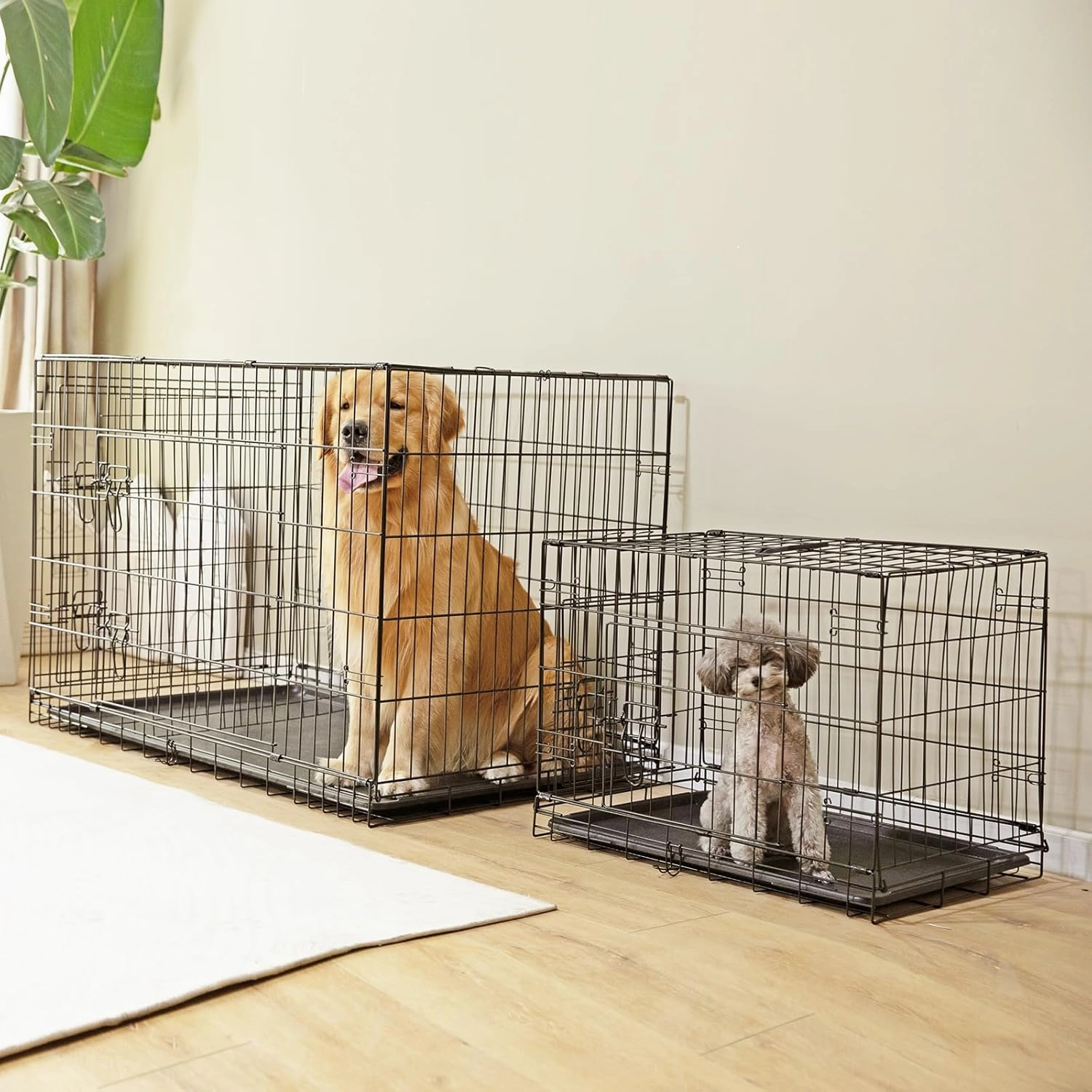Sweetcrispy Large Dog Crate with Divider Panel, 36 Inch Double Door Folding Metal Wire Dog Cage with Plastic Leak-Proof Pan Tray, Pet Kennel for Indoor, Outdoor, Travel, 36S