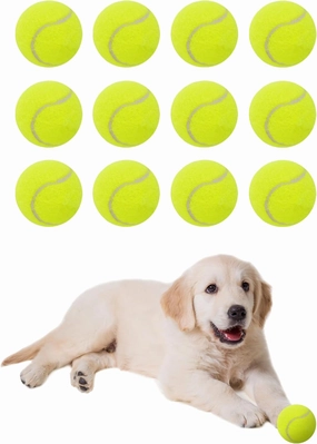 Tennis Balls for Small and Medium Size Dogs, 2" Mini Tennis Balls for Indoor Outdoor, Compatible with Dog Ball Launcher (12PCS)