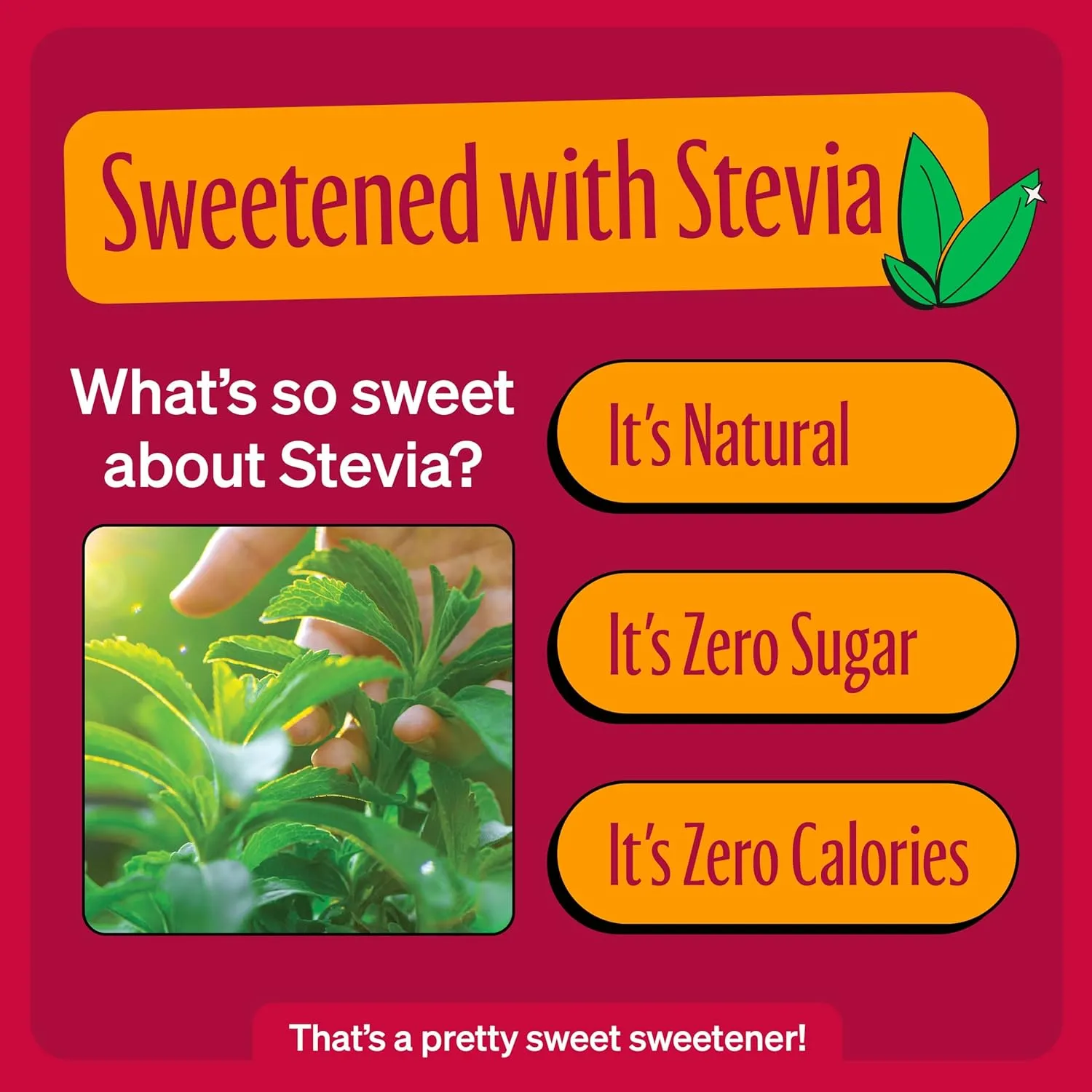 Zevia Zero Sugar Energy Drink, Mango Ginger, 12 oz Cans (12-Pack) – Naturally Sweetened, Zero Calorie Sugar Free Energy - Non-GMO Project Verified, Gluten-Free, Vegan
